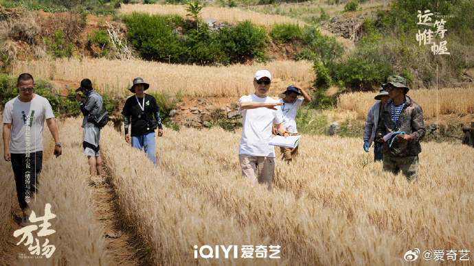 《生万物》电视剧杀青，杨幂欧豪演绎旧时代背景下的抉择